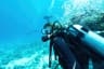Scuba Diving at Hurghada