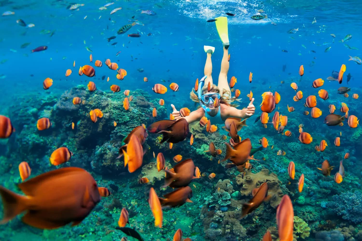 Snorkelling in Maldives