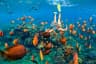 Snorkelling in Maldives