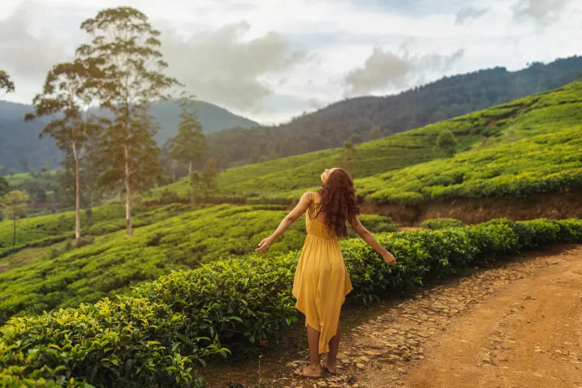Visit a Tea Garden in Nuwara Eliya