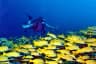 Banana Reef