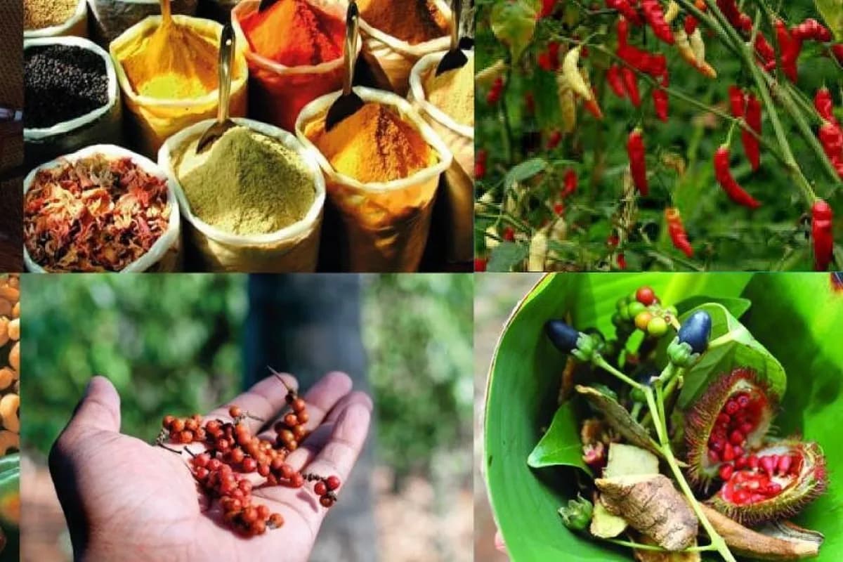 Spice and Aroma Tour at Le Jardin du Roi