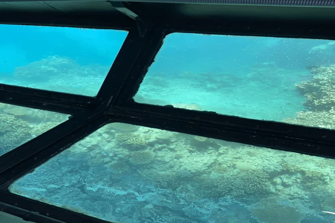 Glass-Bottom Boat Rides