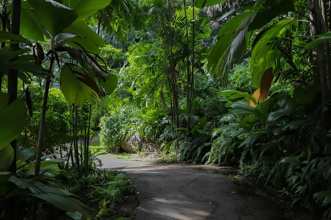 Victoria Botanical Gardens