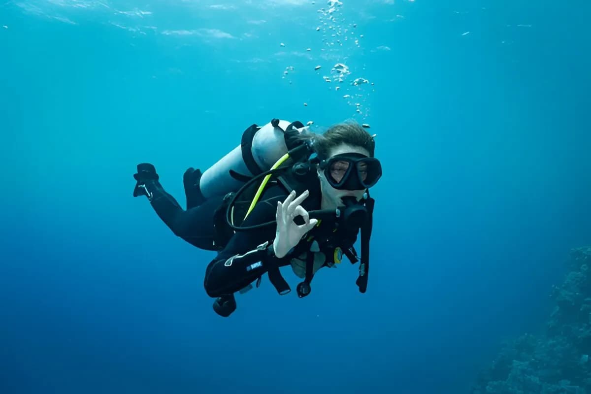 Scuba Diving at the Beach