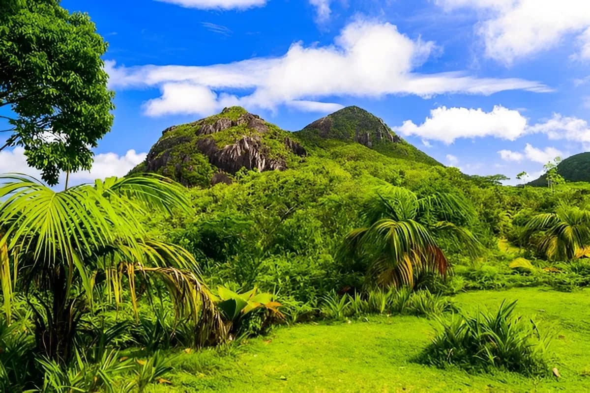 Morne Seychelles National Park