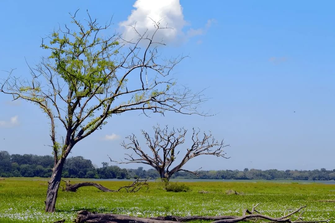 Lahugala National Park