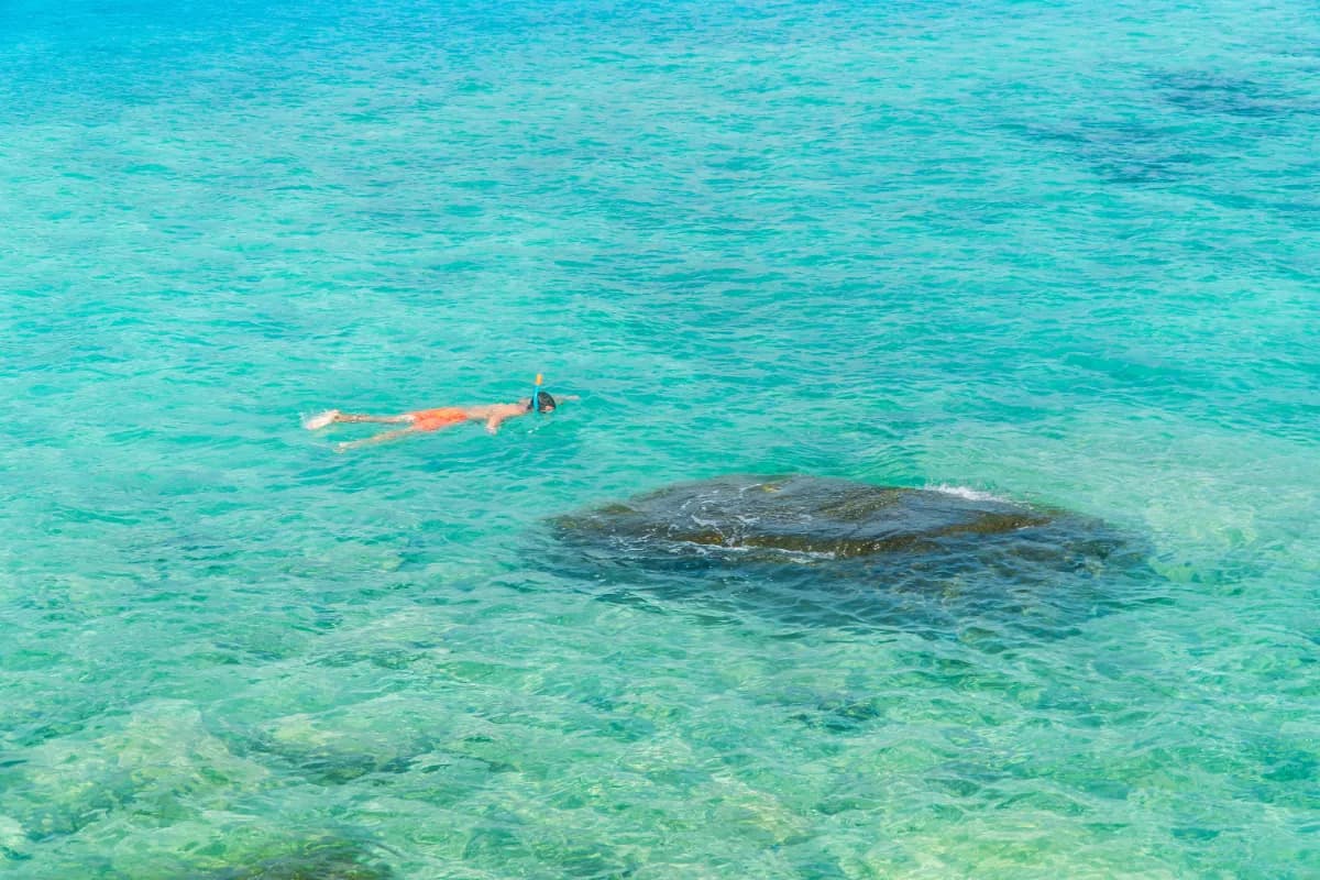 Snorkelling Trail - Reef Conservation