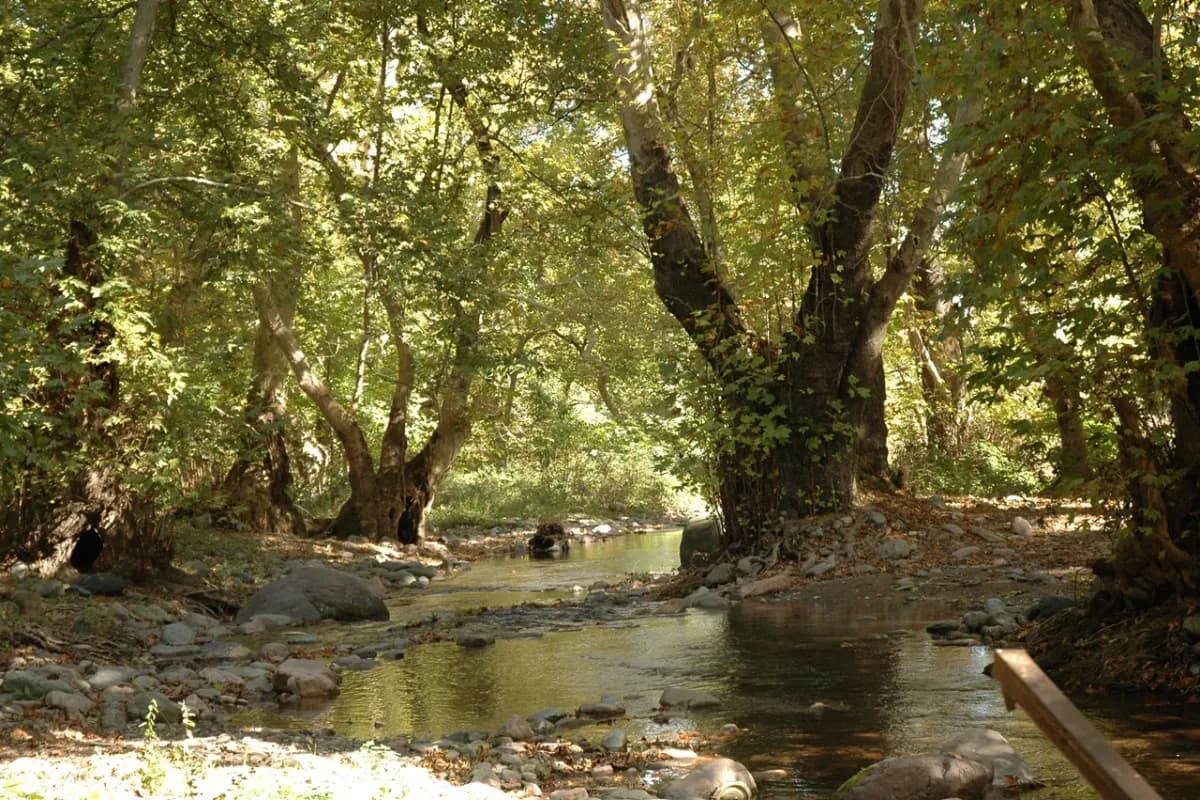 Shikahogh Reserve