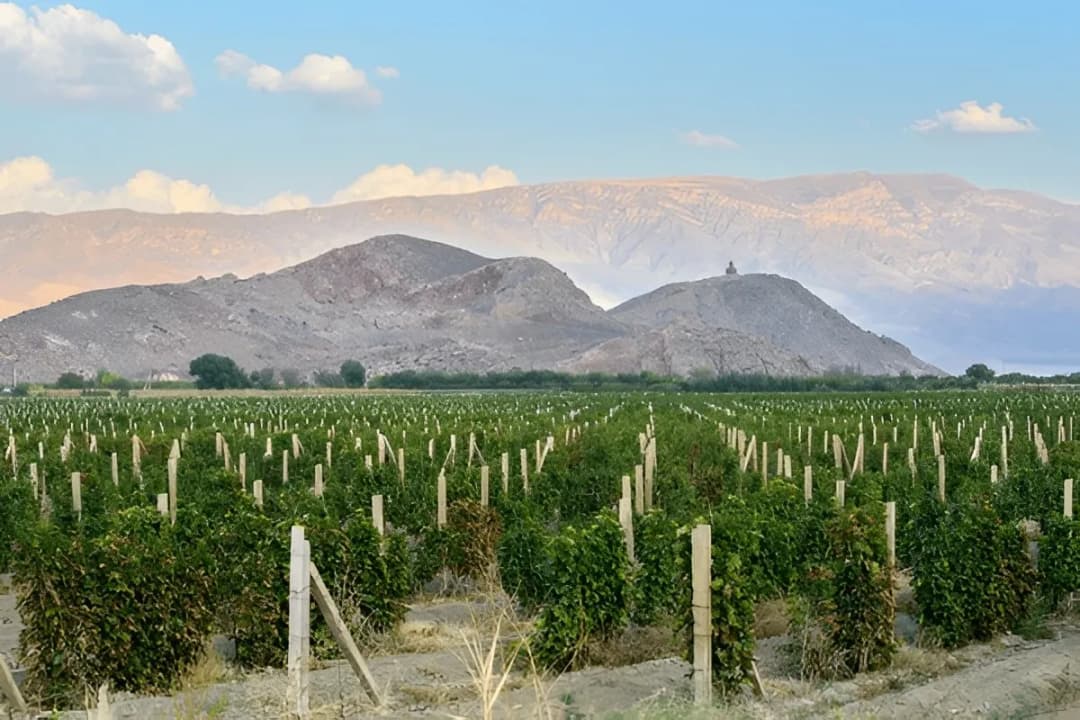 Ararat Valley