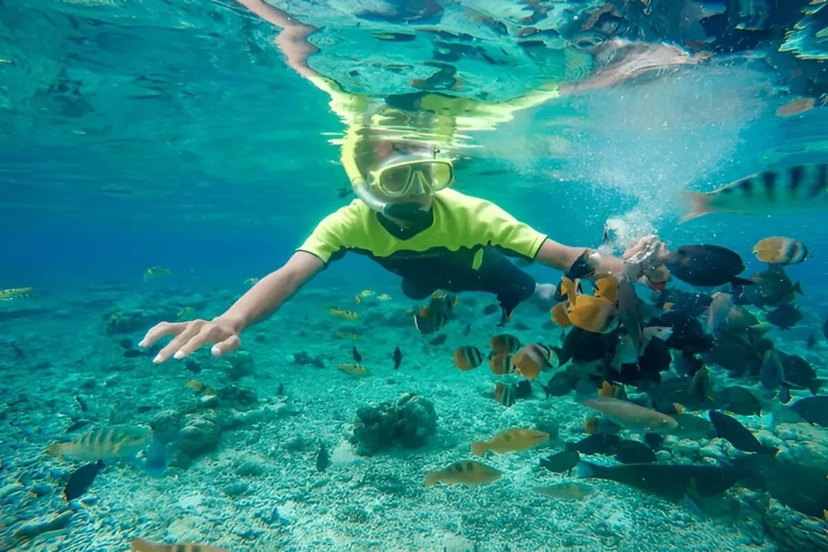 Snorkelling at Blue Bay Marine Park
