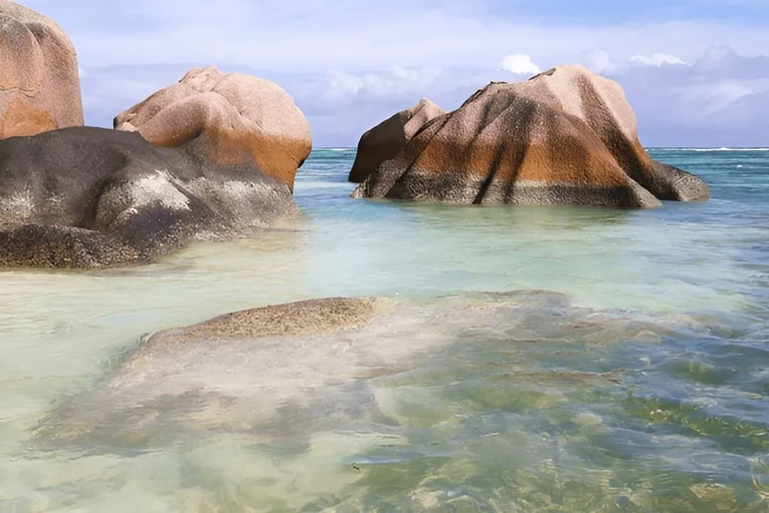 Giant Tortoise Enclosure