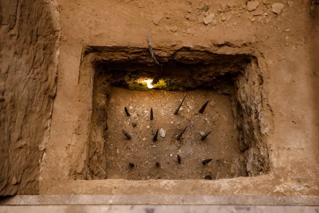 Wartime Trap Displays