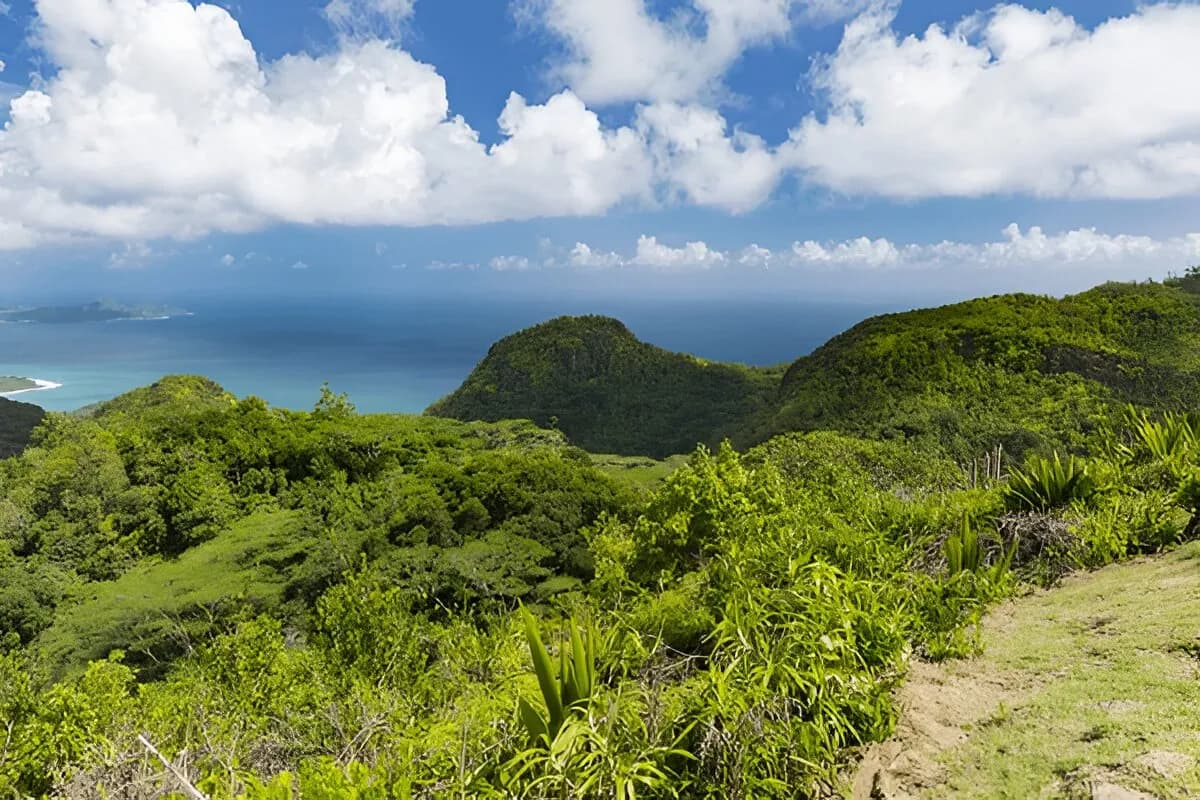 Mission Lodge Lookout