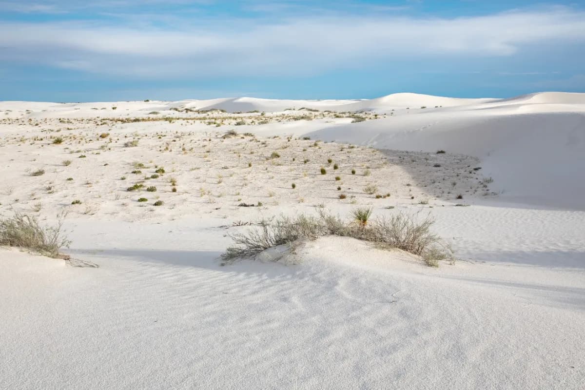 White Desert National Park