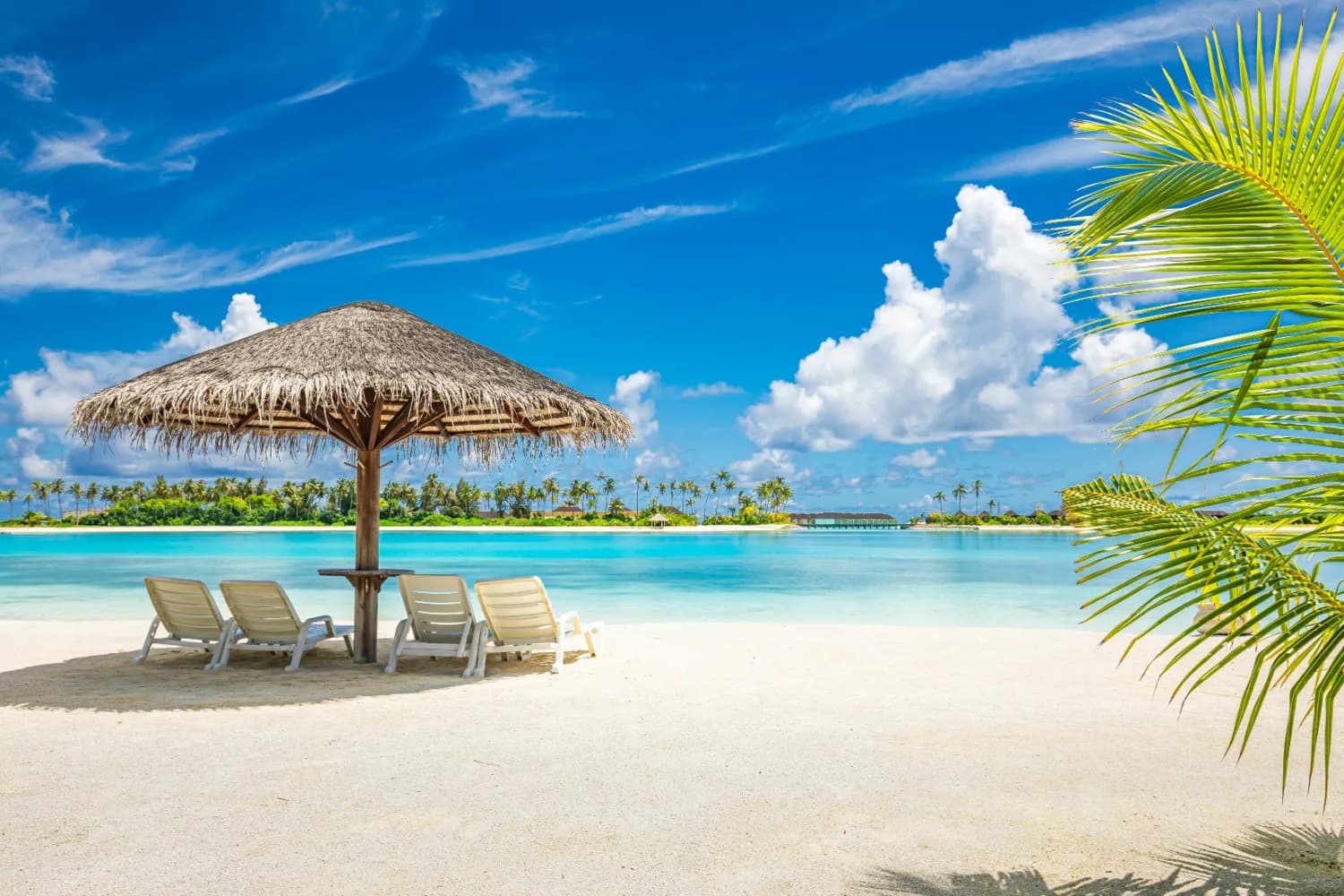 Maldives Beach