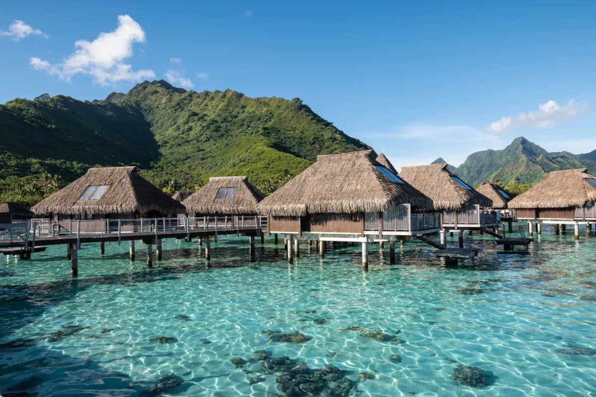 Stay in Beach Bungalows