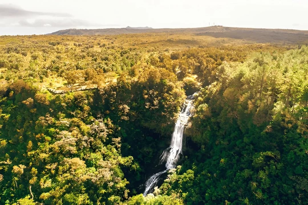 Alexandra Falls Viewpoint
