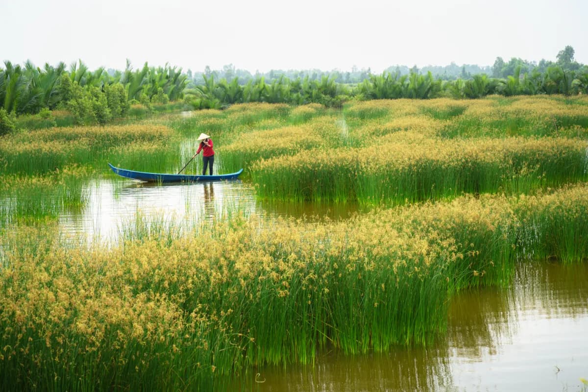 Mekong River Delta