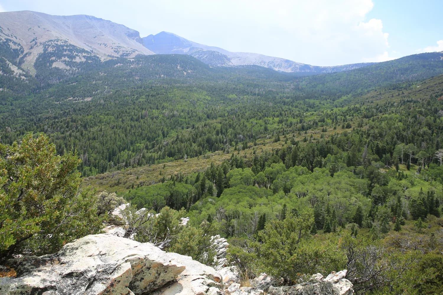 Grand Bassin