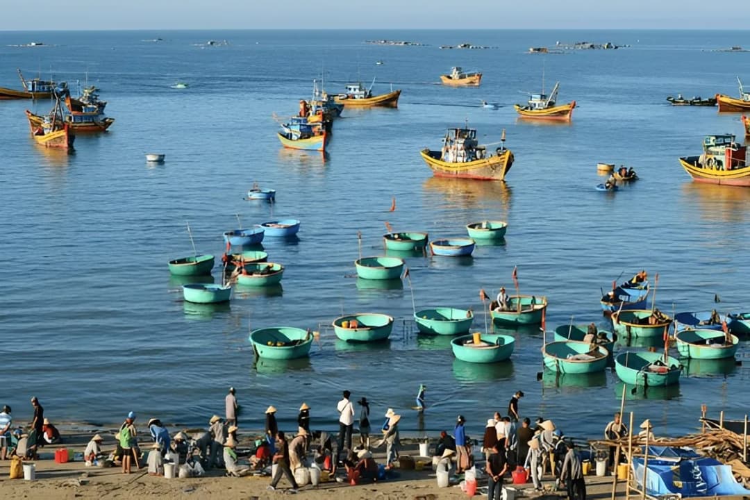 Local Fishing Scenes