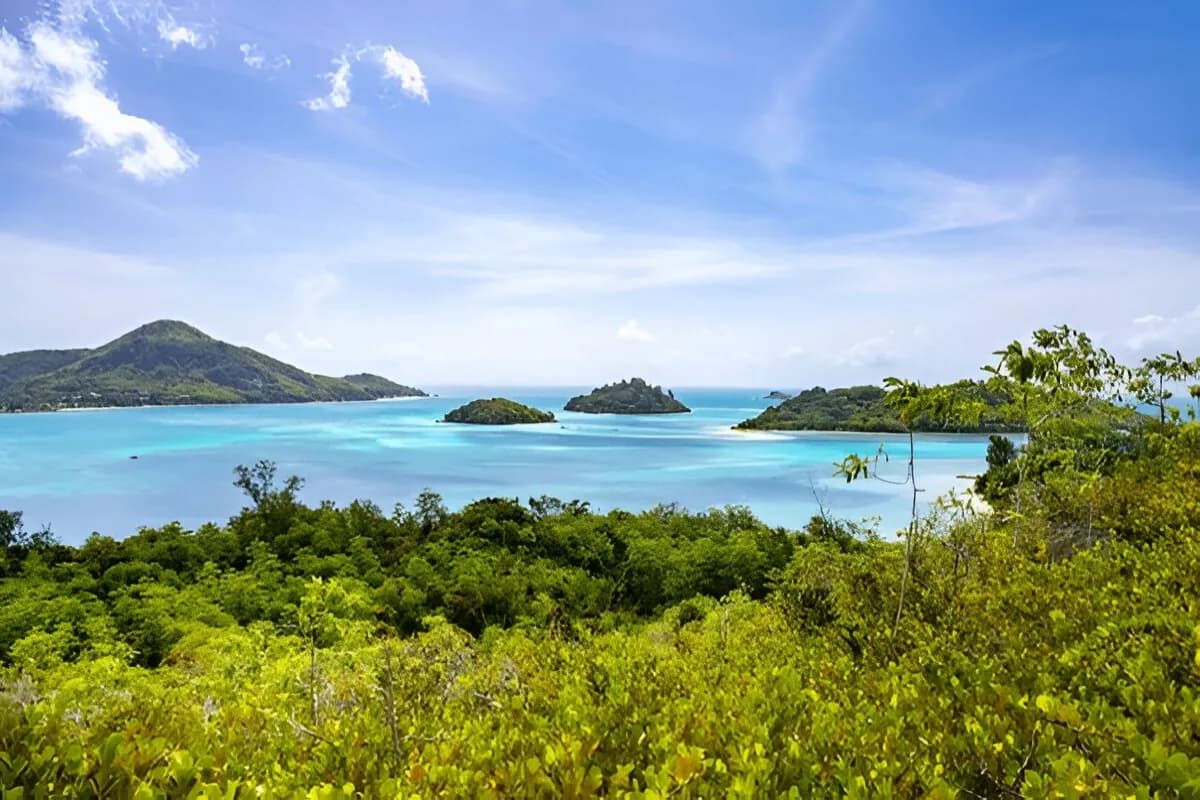Marine Safari in Sainte Anne Marine Park