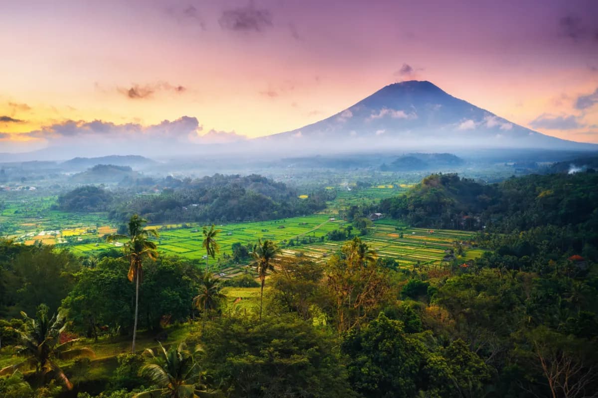 Jatiluwih Rice Terraces