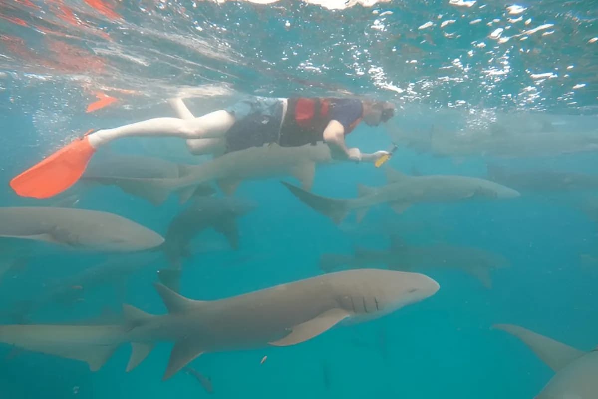  Snorkelling at Maldives