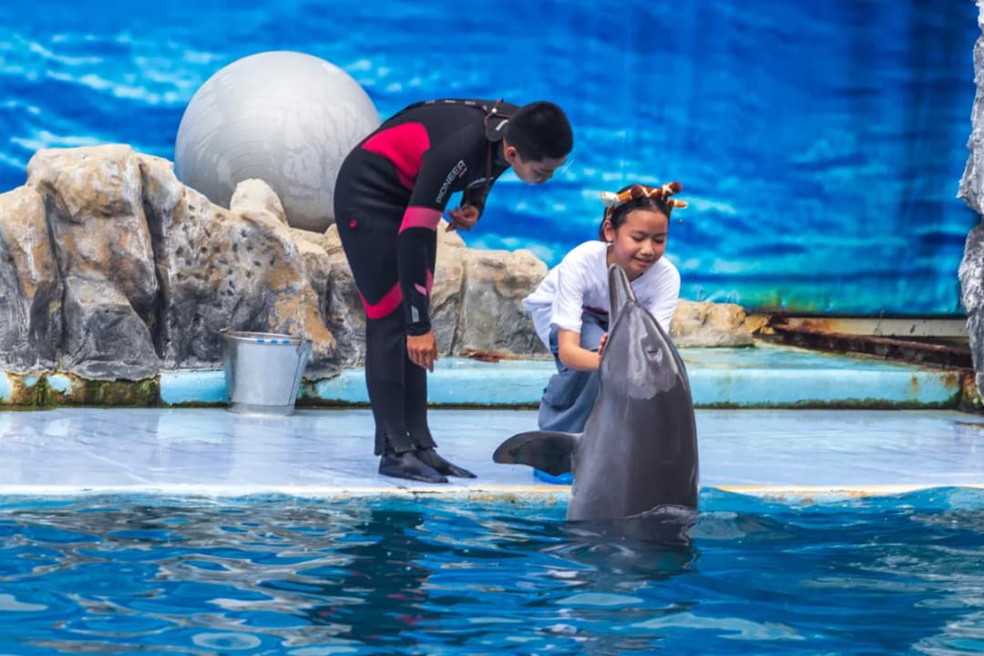 Photo Interaction Corner