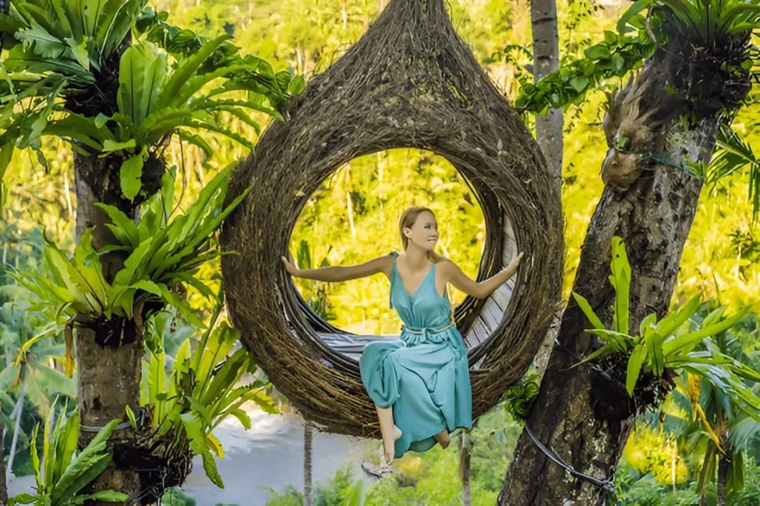 Bird Nest Photo Spots