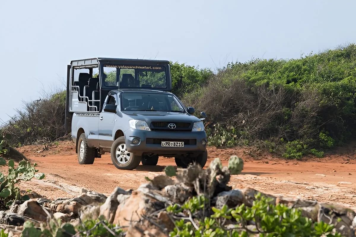 Wildlife Safari in Sri Lanka