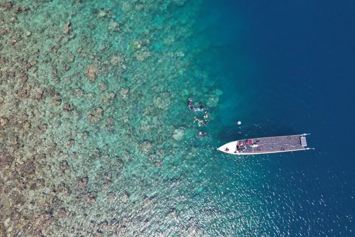 Snorkelling Trail - Reef Conservation