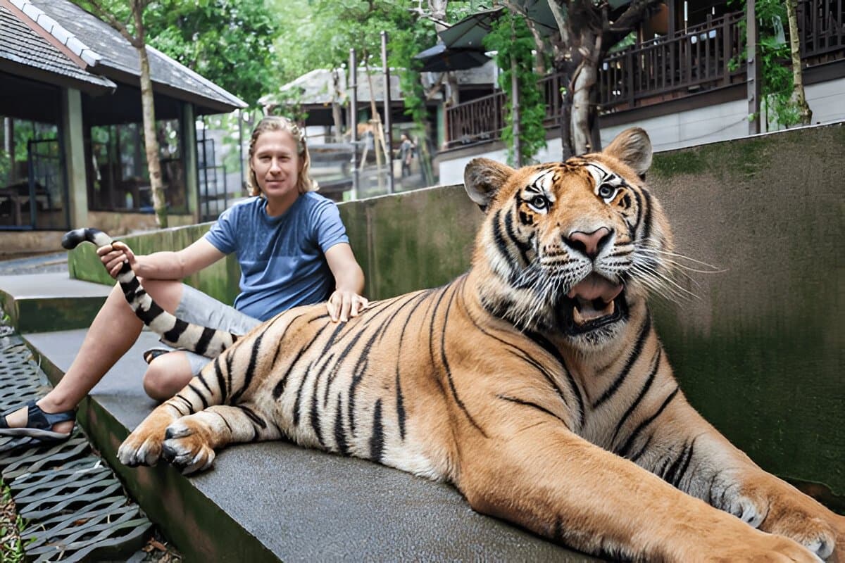 The Tiger Kingdom, Phuket
