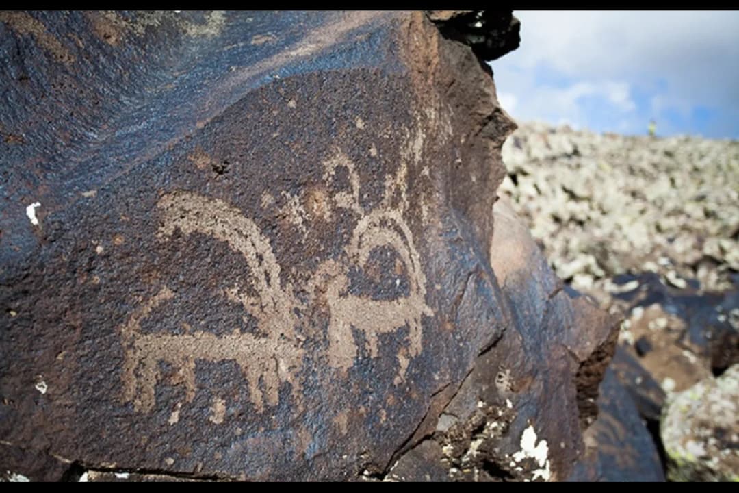 Ancient Petroglyph Fields