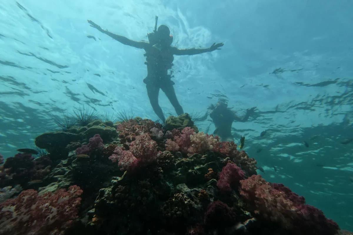 Scuba Diving at Maafushi
