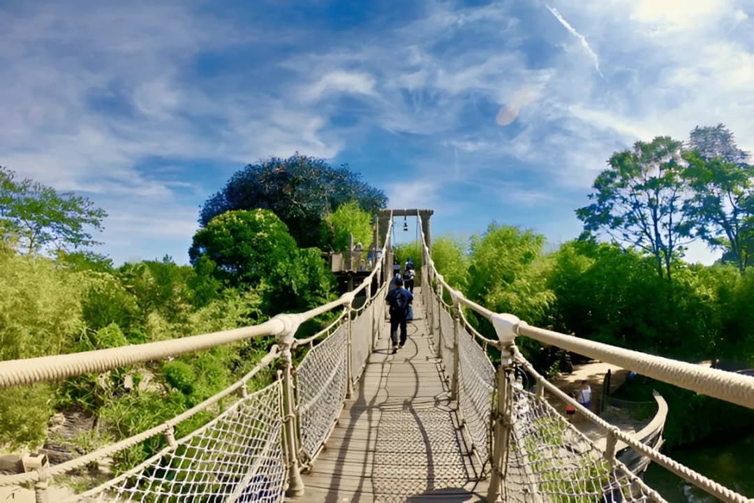Suspension Bridge Walk