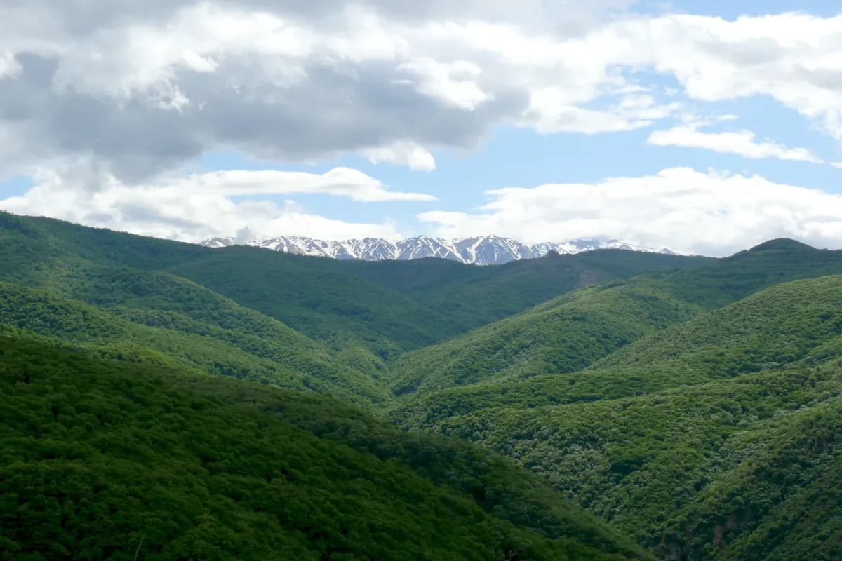 Prestine nature of Shikahogh State Reserve