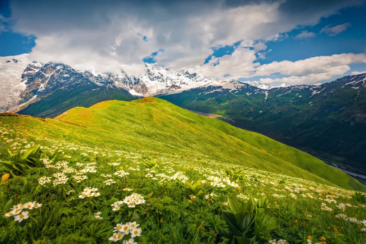 Caucasus Mountains