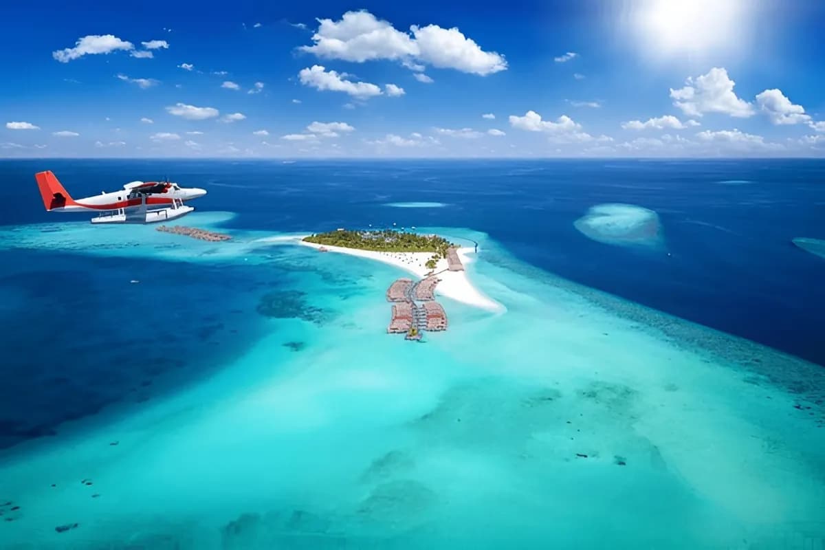Banana Reef
