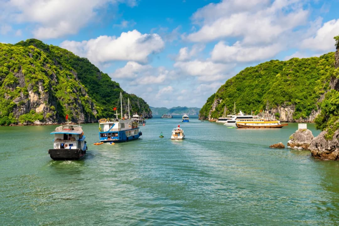 Lan Ha Bay Boat Cruises