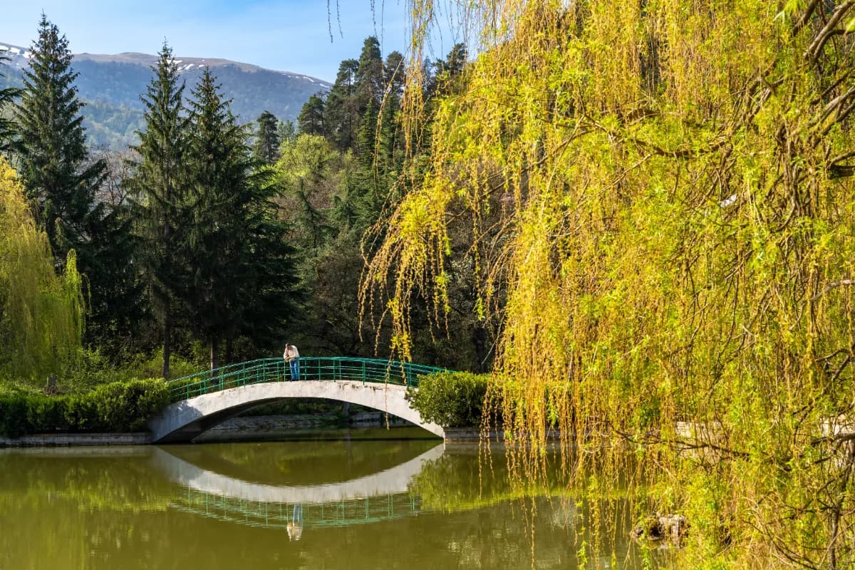 Dilijan National Park