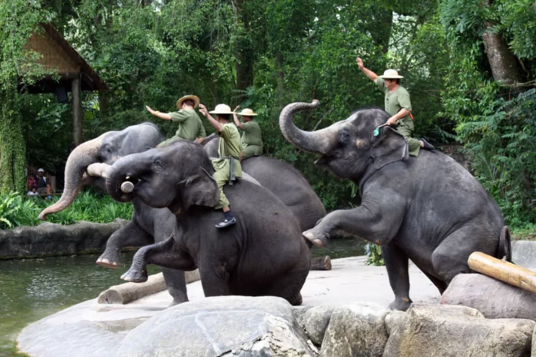 Large Mammal Enclosures