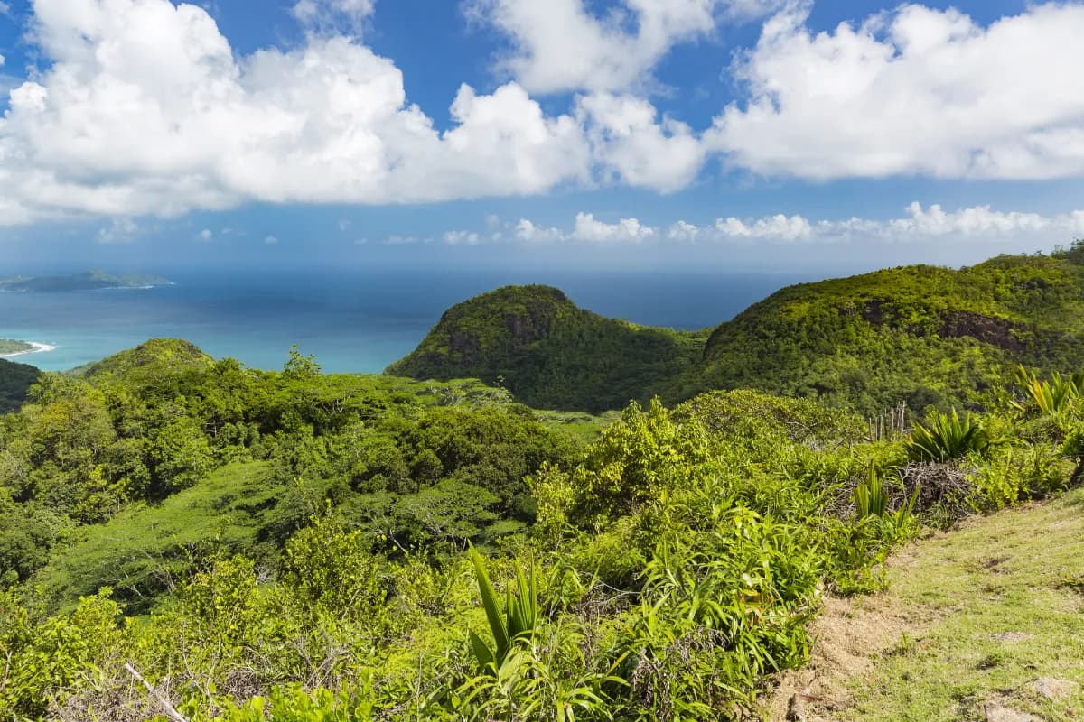 Mission Lodge Lookout