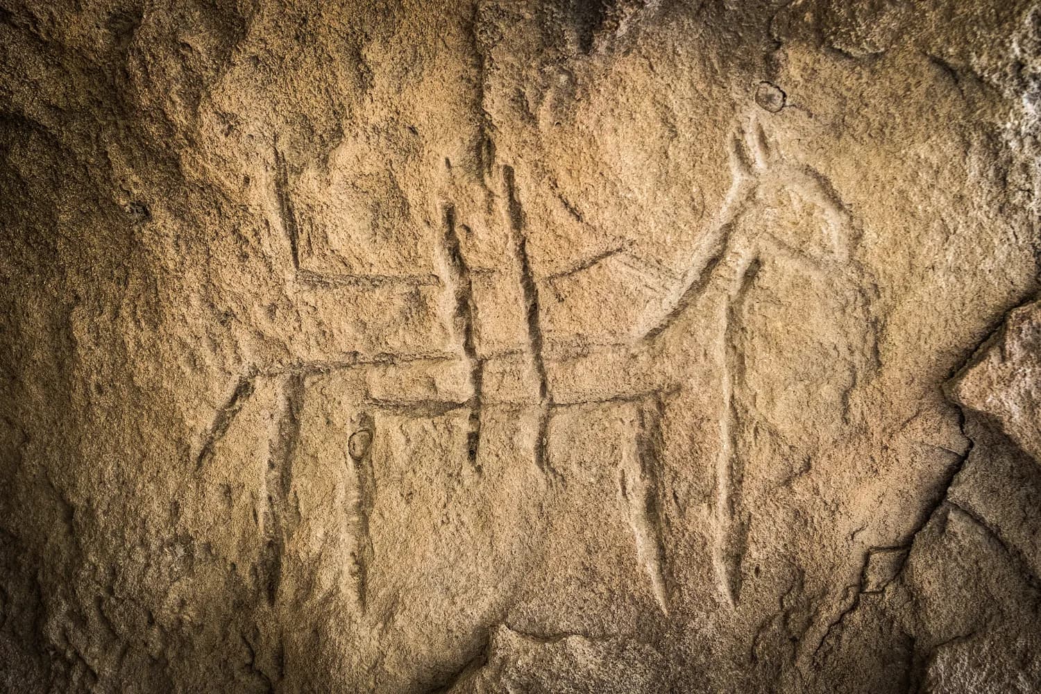 Petroglyphs