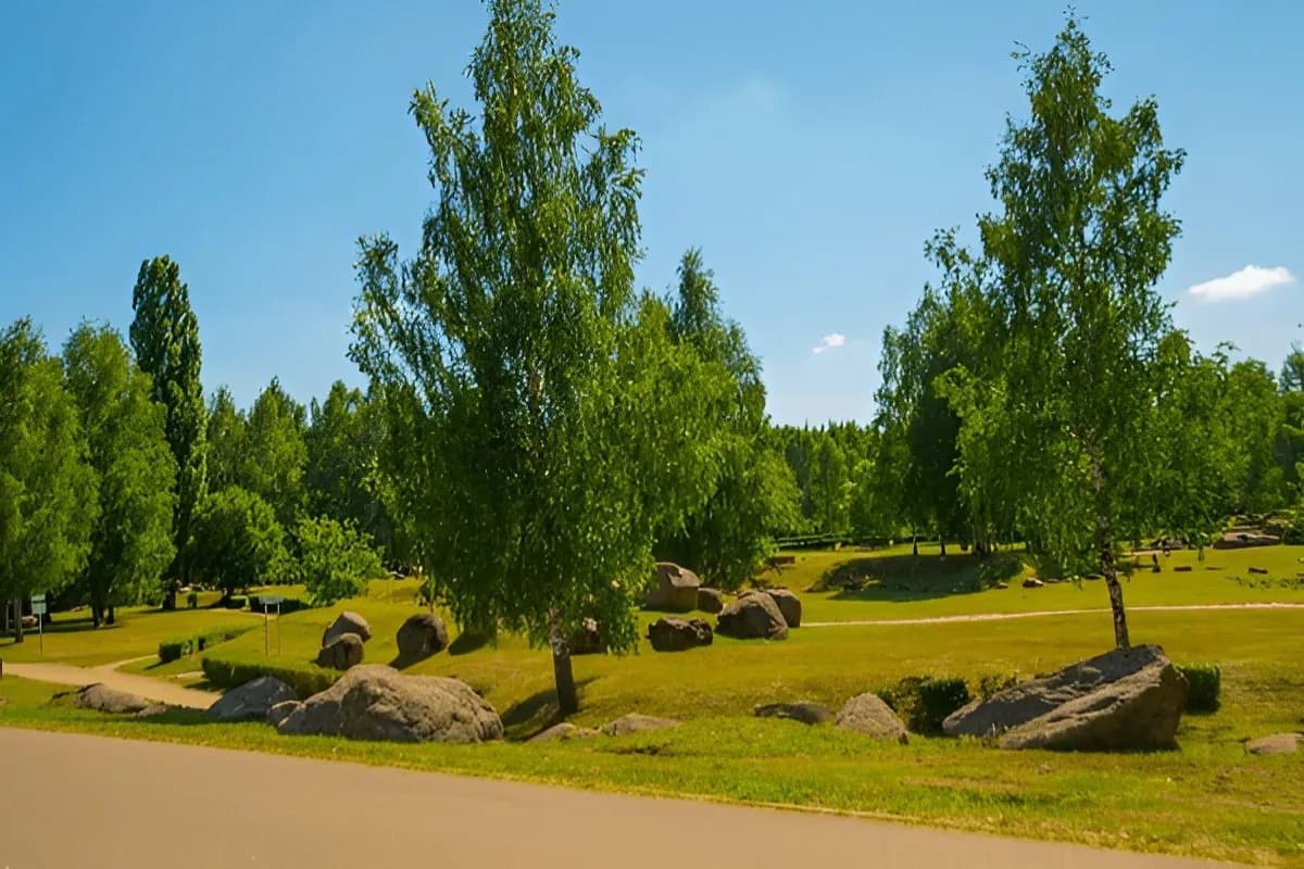 Museum of Stones