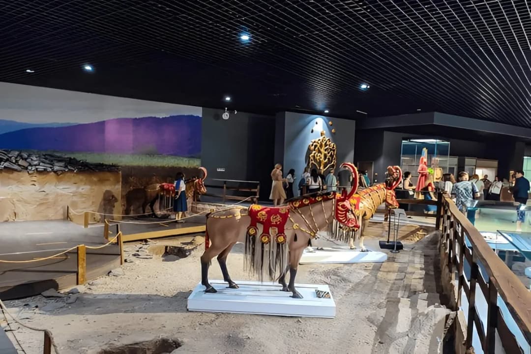 Natural History Area