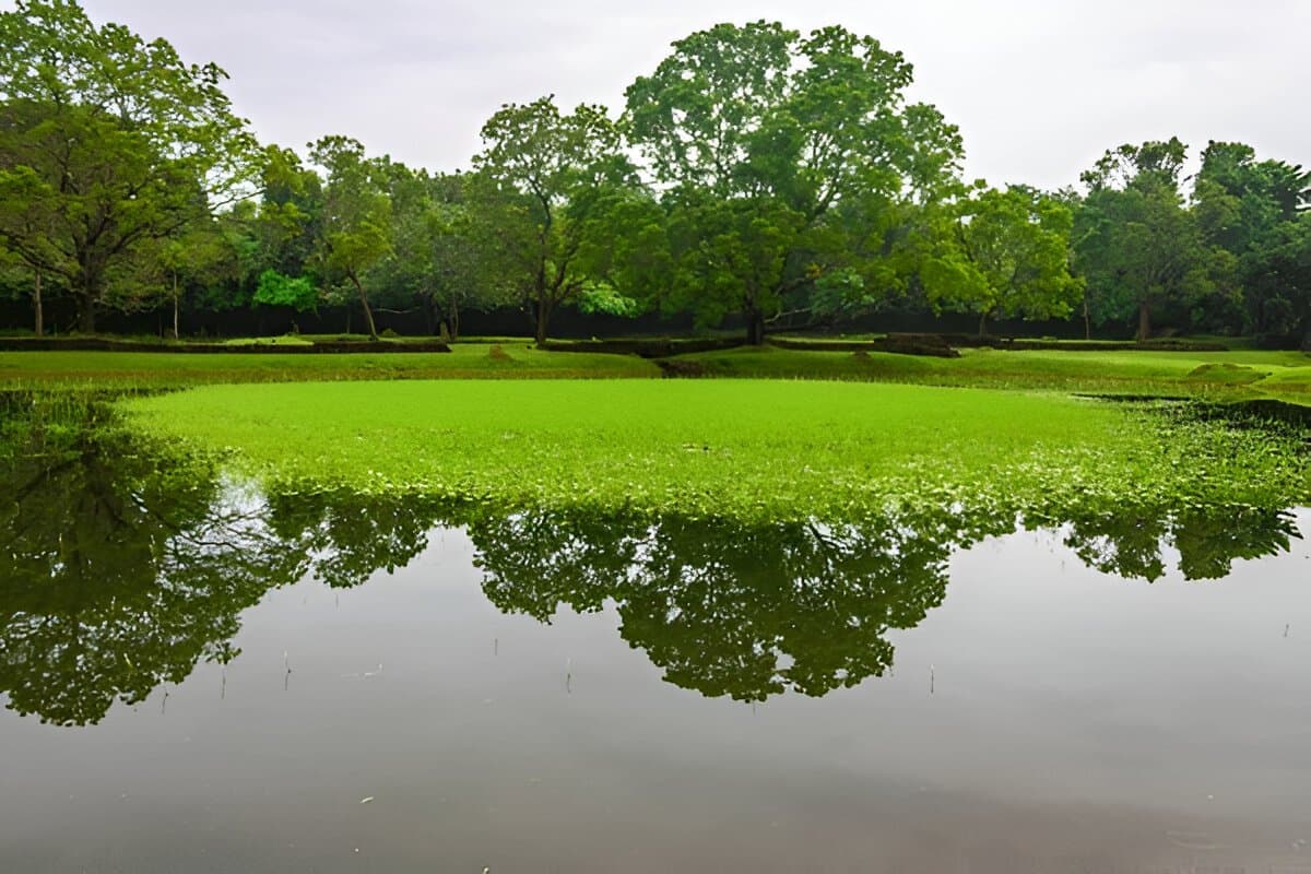 Water Garden Sigiriya