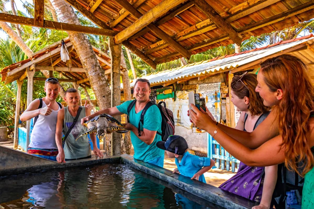 Kosgoda Sea Turtle Conservation Project