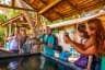 Kosgoda Sea Turtle Conservation Project