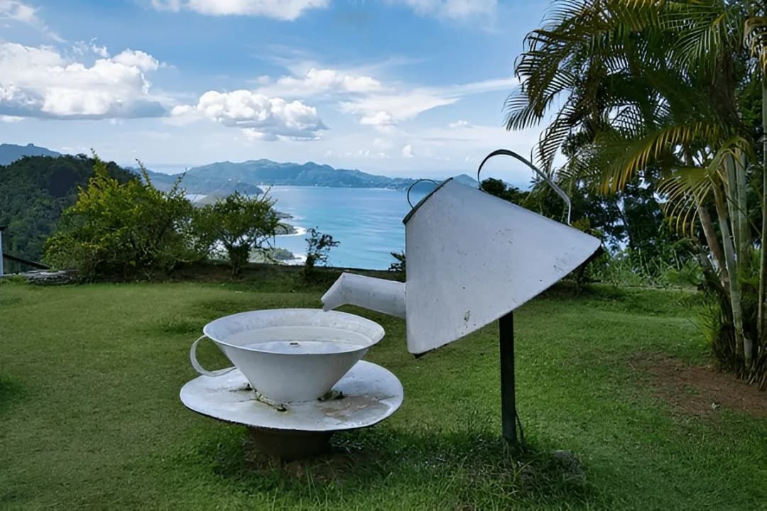 Tea Factory Viewpoint